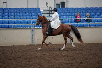 2019 Morgan Horse Show - Aug 31, 2019 - 17866