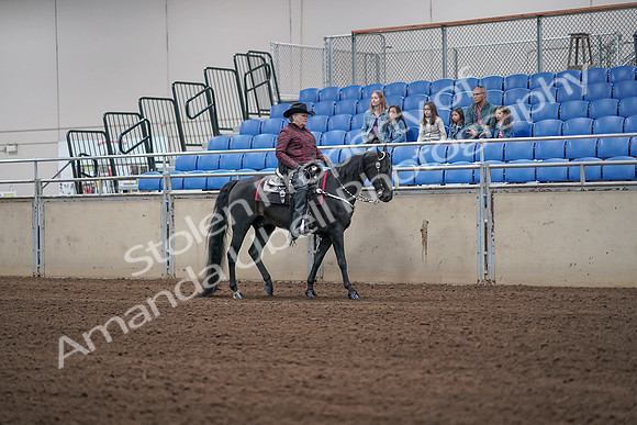2019 Morgan Horse Show - Aug 31, 2019 - 10669