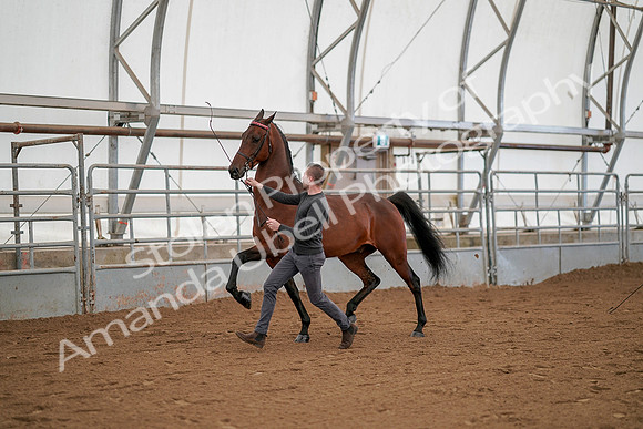 July 19, 2019 - 1161