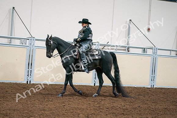 2020 - AB Morgan Horse - Sat, Sept 05 - 08901