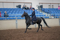2019 Morgan Horse Show - Aug 31, 2019 - 18001