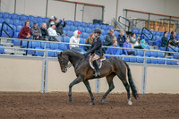2020 - AB Morgan Horse - Sun, Sept 06 - 00885