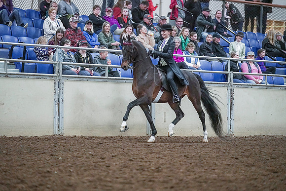 Spring Fling - Saturday - April 20, 2019  -  00480
