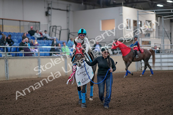2019 Morgan Horse Show - Aug 31, 2019 - 09971