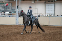 2020 - AB Morgan Horse - Sun, Sept 06 - 08285