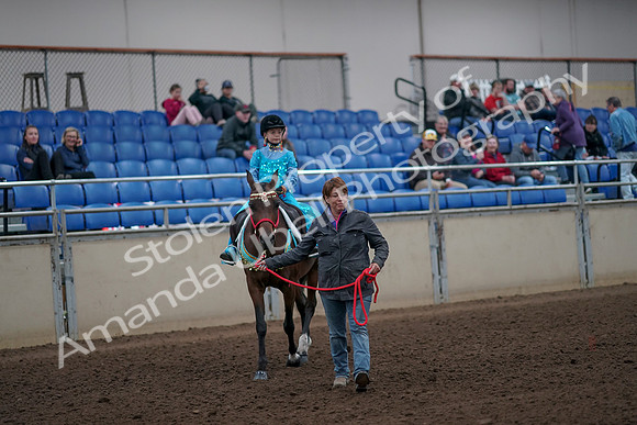 2019 Morgan Horse Show - Aug 31, 2019 - 09950