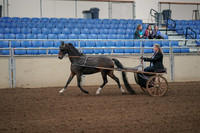 2019 Morgan Horse Show - Aug 31, 2019 - 04235