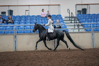 2019 Morgan Horse Show - Aug 31, 2019 - 09247