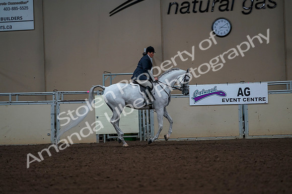 2019 Morgan Horse Show - Aug 30, 2019 - 17573