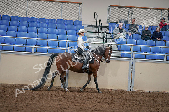 2020 - AB Morgan Horse - Fri, Sept 04 - 08454