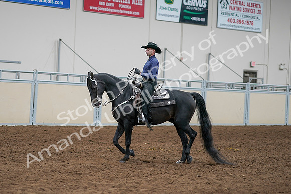 2020 - AB Morgan Horse - Sun, Sept 06 - 07646