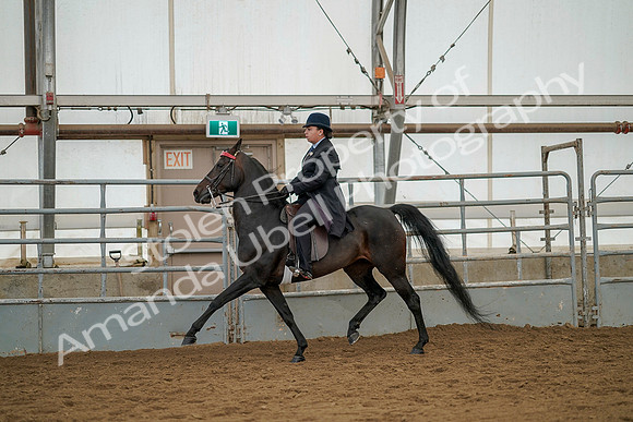 July 20, 2019 - 04351