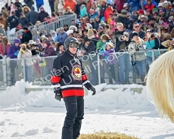 Bailey - 2020 - Skijor - Sat, Feb 22 - 06254