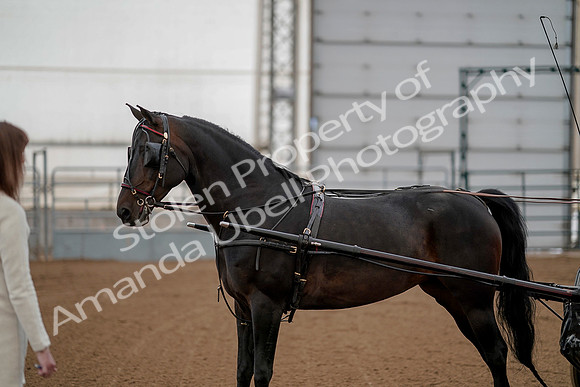 July 20, 2019 - 00279