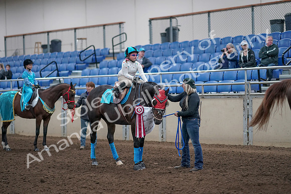 2019 Morgan Horse Show - Aug 31, 2019 - 10111