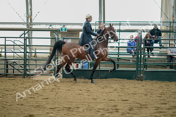 July 21, 2019 - 01738