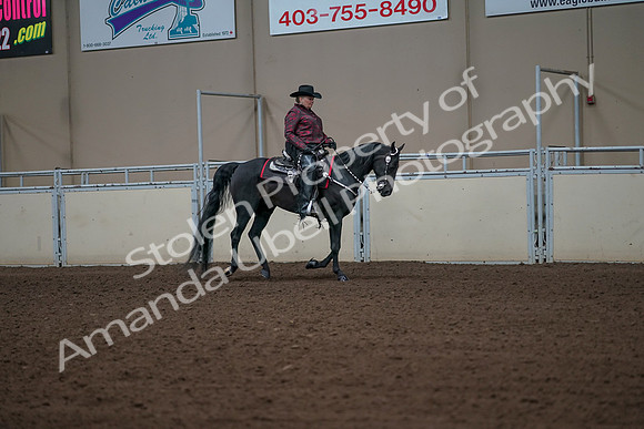 2019 Morgan Horse Show - Aug 31, 2019 - 10704