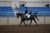 2019 Morgan Horse Show - Aug 31, 2019 - 16495