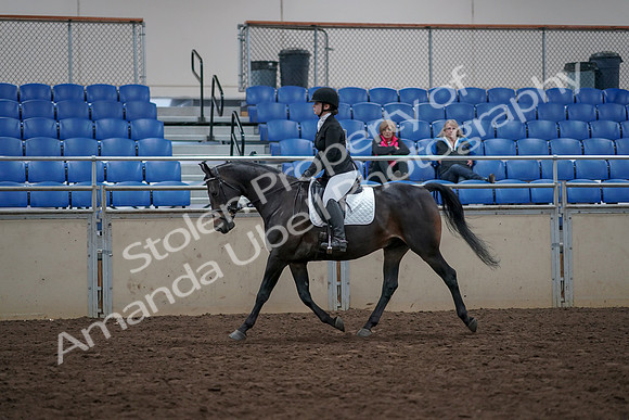 2019 Morgan Horse Show - Aug 31, 2019 - 16495