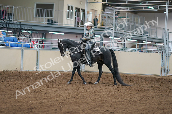 2020 - AB Morgan Horse - Fri, Sept 04 - 03502