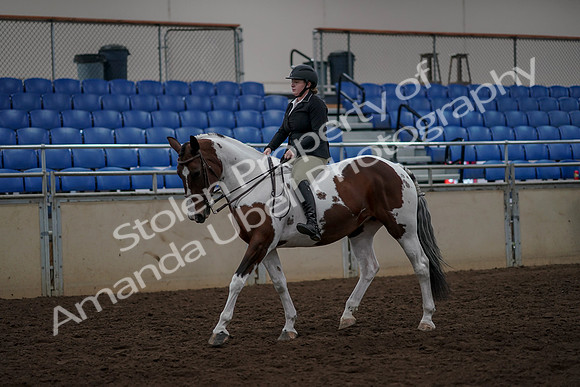 2019 Morgan Horse Show - Aug 30, 2019 - 31114