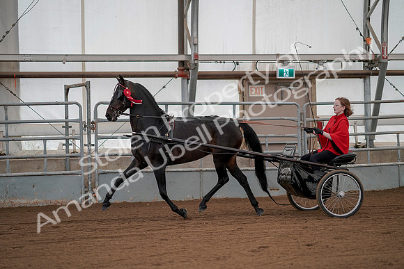 July 20, 2019 - 00319