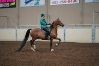 2019 Morgan Horse Show - Aug 30, 2019 - 30637
