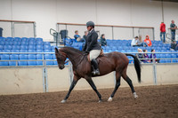 2019 Morgan Horse Show - Aug 30, 2019 - 29217