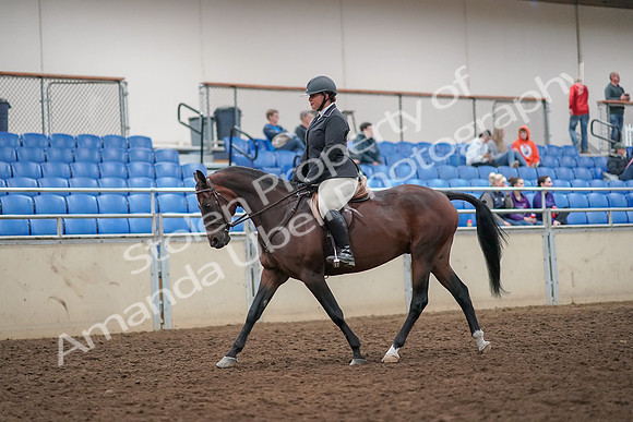 2019 Morgan Horse Show - Aug 30, 2019 - 29217