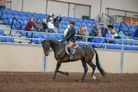 2020 - AB Morgan Horse - Sun, Sept 06 - 00888