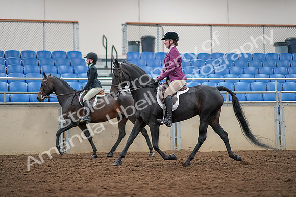 2019 Morgan Horse Show - Aug 30, 2019 - 23337