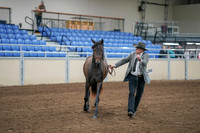 2020 - AB Morgan Horse - Sat, Sept 05 - 00242