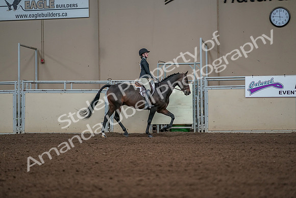 2019 Morgan Horse Show - Aug 31, 2019 - 05161