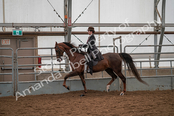 July 19, 2019 - 12803