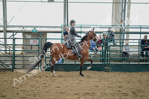 July 21, 2019 - 01845