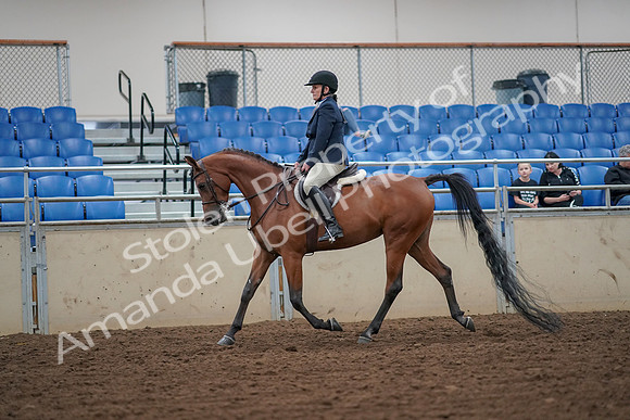2019 Morgan Horse Show - Aug 30, 2019 - 16095