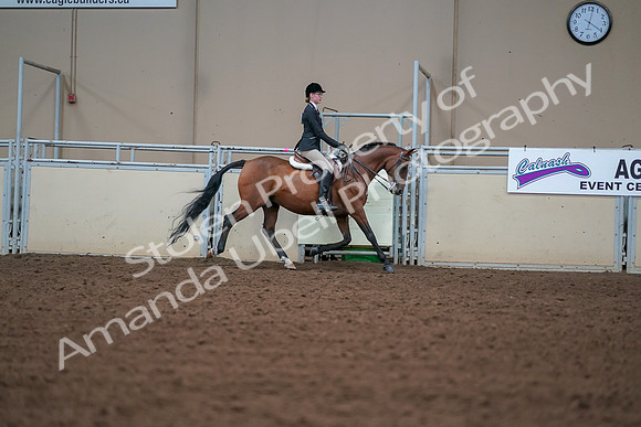 2019 Morgan Horse Show - Aug 30, 2019 - 20917