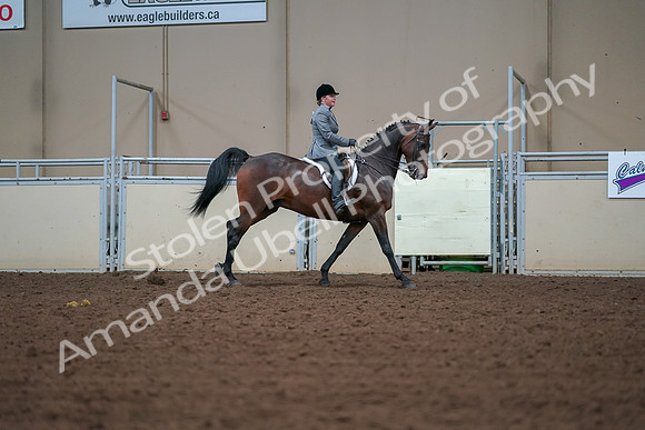 2019 Morgan Horse Show - Aug 30, 2019 - 21025