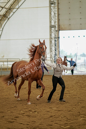 July 19, 2019 - 1094