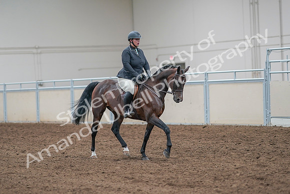 2020 - AB Morgan Horse - Sat, Sept 05 - 09346