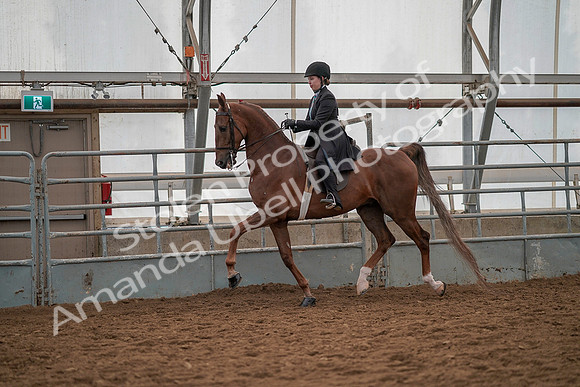 July 19, 2019 - 12947