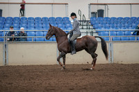 2019 Morgan Horse Show - Aug 31, 2019 - 07148