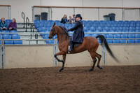 2019 Morgan Horse Show - Aug 30, 2019 - 28364