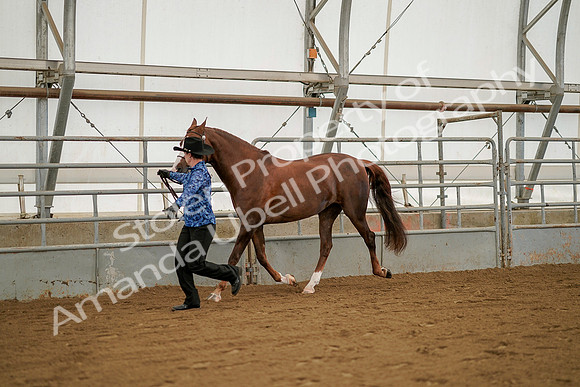 July 19, 2019 - 1264