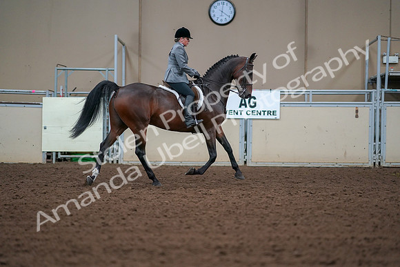 2019 Morgan Horse Show - Aug 30, 2019 - 20680