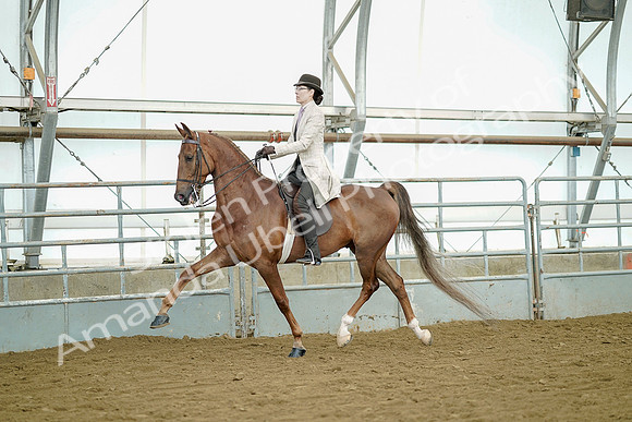 July 20, 2019 - 07747