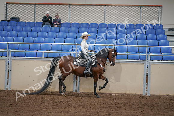 2020 - AB Morgan Horse - Fri, Sept 04 - 08446