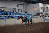 2019 Morgan Horse Show - Aug 31, 2019 - 09929