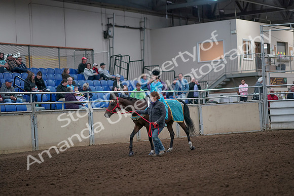 2019 Morgan Horse Show - Aug 31, 2019 - 09929