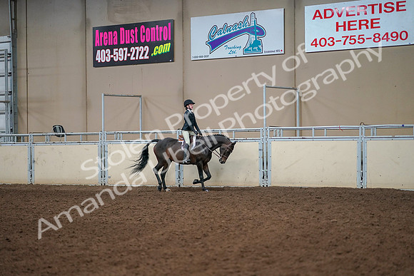2019 Morgan Horse Show - Aug 30, 2019 - 12470